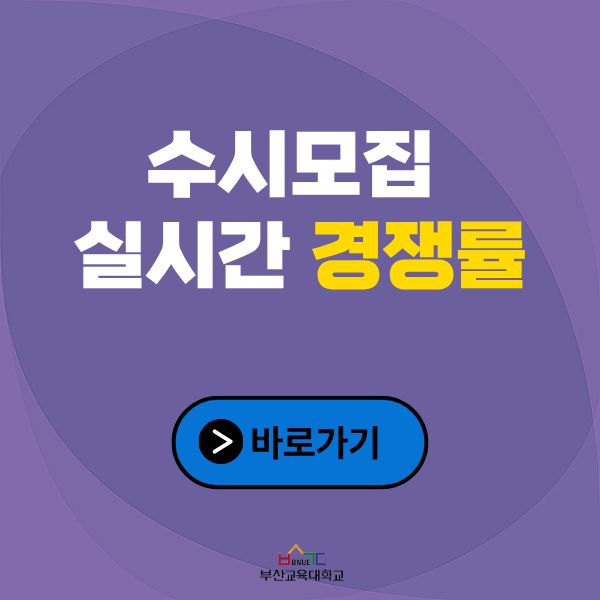 수시 경쟁률